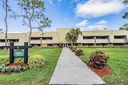 36750 Us Highway 19 N #20-219 Palm Harbor, FL 34684