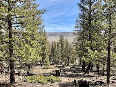 TBD Redhill Rd Lot 008 Fairplay, CO 80440