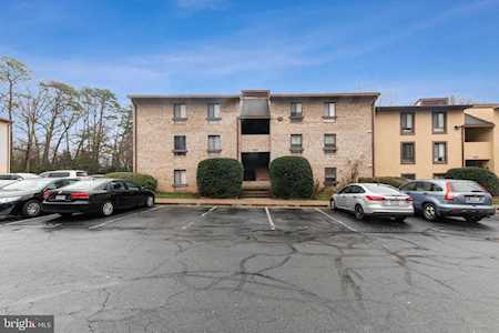 2230 Castle Rock Square #1B Reston, VA 20191