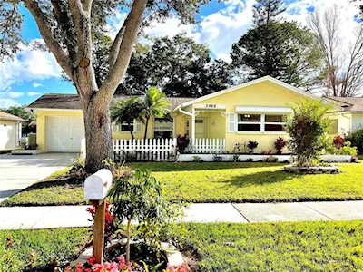 2966 Sutherland Ct Palm Harbor, FL 34684