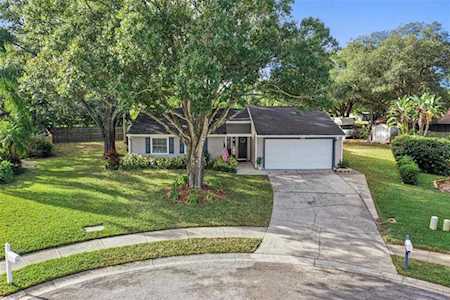 2808 Honey Bear Ct Palm Harbor, FL 34684