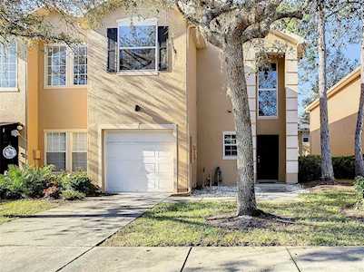 16308 Newbury Palms Ct Tampa, FL 33647