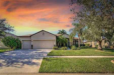 313 Star Shell Dr Apollo Beach, FL 33572