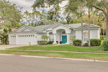 4409 Lavender Dr Palm Harbor, FL 34685