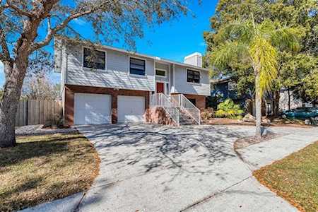 4842 Cardinal Trl Palm Harbor, FL 34683