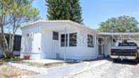 815 N Saint Charles Dr N Tarpon Springs, FL 34689
