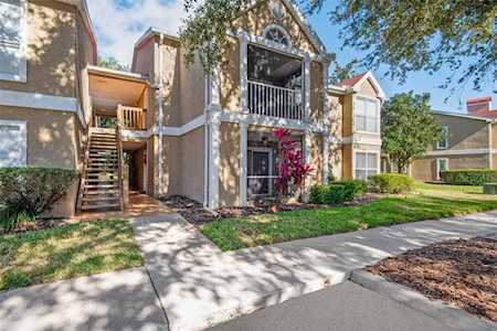9481 Highland Oak Dr #1011 Tampa, FL 33647