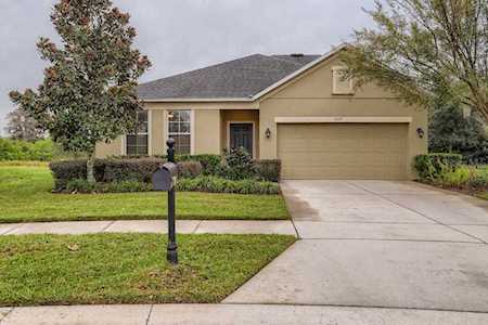 5337 Dittany Ct Land O Lakes, FL 34639