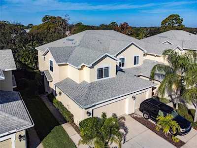 428 Harbor Ridge Dr Palm Harbor, FL 34683