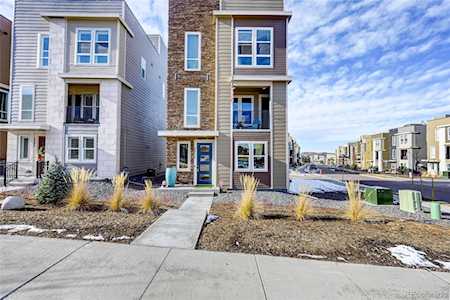 3574 Corsica Way Castle Rock, CO 80109