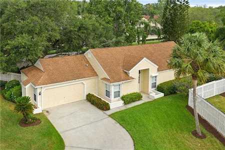 1213 Georgetown Dr Safety Harbor, FL 34695