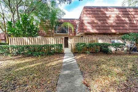2724 11th Ct Palm Harbor, FL 34684