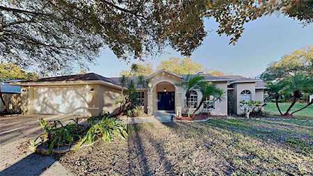22909 Mosswood Ct Land O Lakes, FL 34639