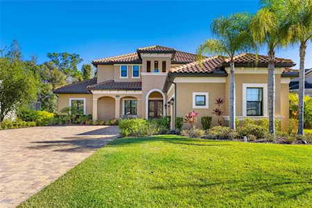17707 Saint Lucia Isle Dr Tampa, FL 33647
