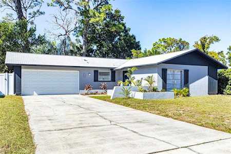 3540 Dove Hollow Ct Palm Harbor, FL 34683