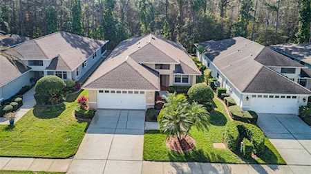 1100 Trafalgar Dr New Port Richey, FL 34655