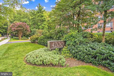 4200 Cathedral Ave #206 Washington, DC 20016
