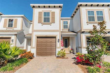 3227 Painted Blossom Ct Lutz, FL 33558