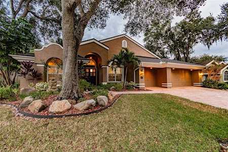 1704 La Forest Ave Safety Harbor, FL 34695