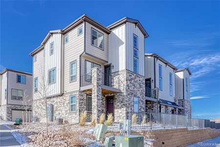 1562 Castle Creek Circle Castle Rock, CO 80104