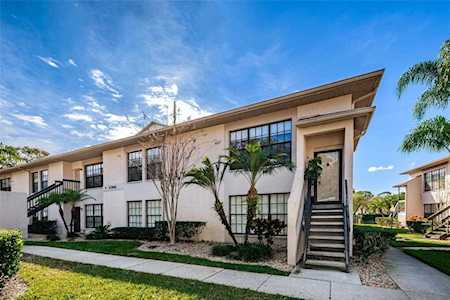 3366 Mermoor Dr #1201 Palm Harbor, FL 34685