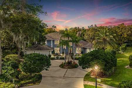 3360 Meadow View Ln Palm Harbor, FL 34683