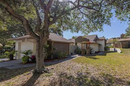 302 Parkside Ln Safety Harbor, FL 34695
