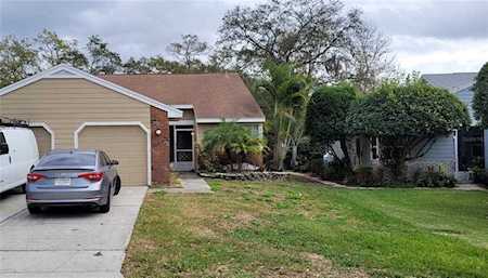 337 Ixora Dr #59 Palm Harbor, FL 34684