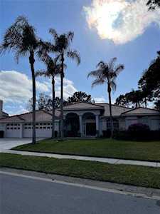 4906 Turtle Creek Trl Oldsmar, FL 34677