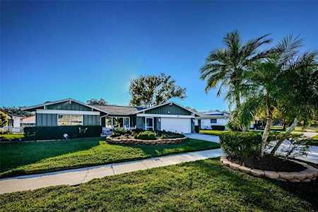 905 Anchorage Ln Palm Harbor, FL 34685