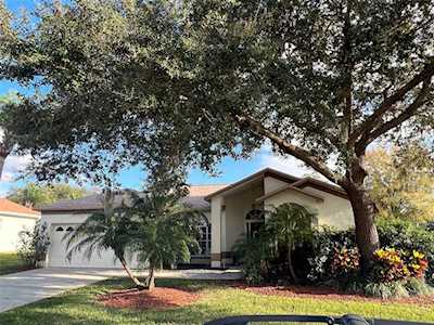 19709 Wyndham Lakes Dr Odessa, FL 33556
