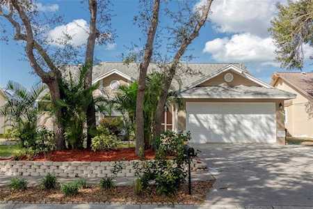 916 Westwinds Blvd Tarpon Springs, FL 34689
