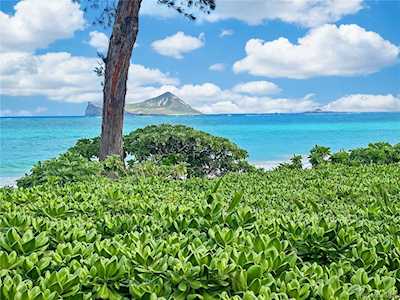 41-899 Kalanianaole Highway Waimanalo, HI 96795