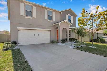 10520 Strawberry Tetra Dr Riverview, FL 33578