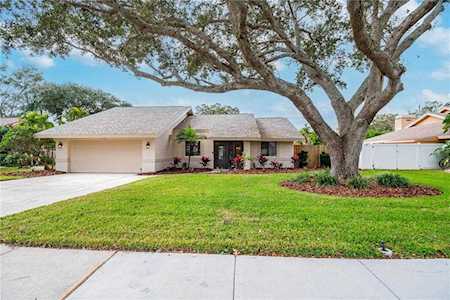 1077 Falcon Ridge Ln Palm Harbor, FL 34683