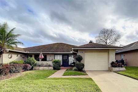3294 Gorse Ct Palm Harbor, FL 34684