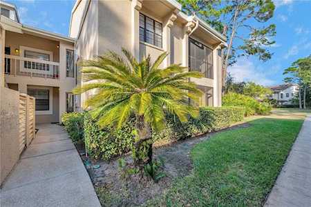 143 Lindsay Ln #1 Oldsmar, FL 34677