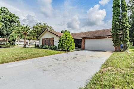 2839 Thistle Ct N Palm Harbor, FL 34684