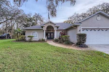 2413 Heather Manor Ln Lutz, FL 33549