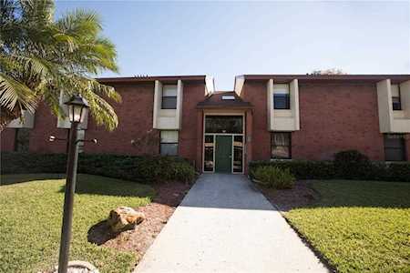 208 Caryl WAY #8 Oldsmar, FL 34677