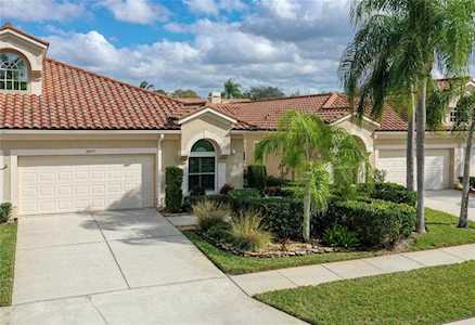 3897 Timber Ridge Ct Palm Harbor, FL 34685