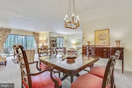 6350 Red Cedar Place #309 Baltimore, MD 21209