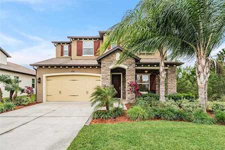 29008 Perilli PLACE Wesley Chapel, FL 33543