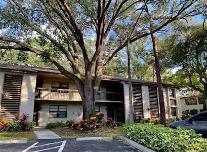 3032 Eastland Blvd #B203 Clearwater, FL 33761