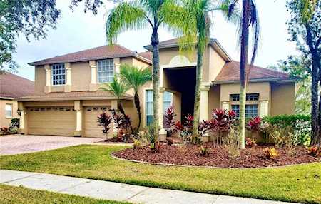 16357 Ashington Park Dr Tampa, FL 33647