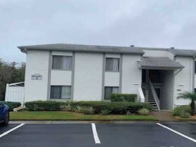 282 Cypress Ln #2 Oldsmar, FL 34677