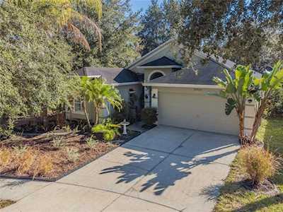15950 Pond Rush Ct Land O Lakes, FL 34638
