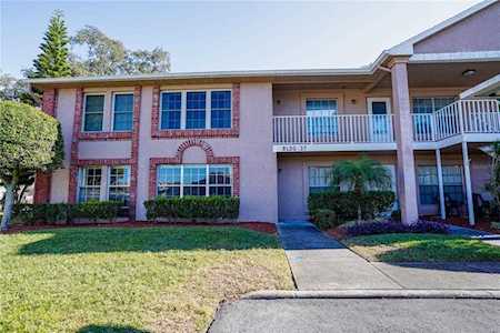 6609 Spring Flower Dr #11 New Port Richey, FL 34653