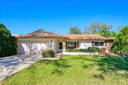 2968 Macalpin Dr N Palm Harbor, FL 34684