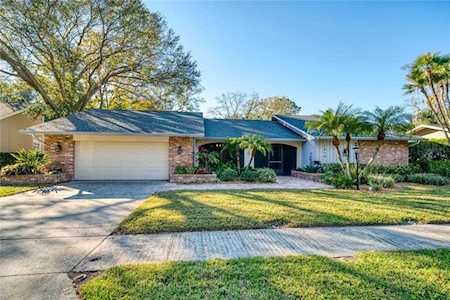 1810 Pine Hill Dr Safety Harbor, FL 34695